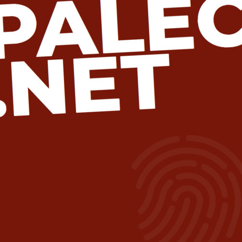 Palec.net
