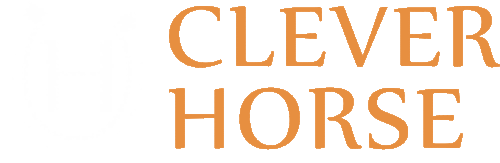 Logo cleverhorse
