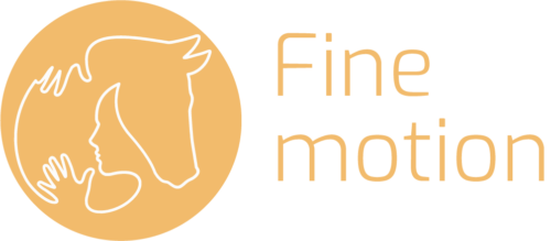 FineMotion